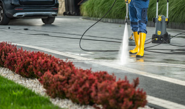 Professional Pressure Washing in Strasburg, VA